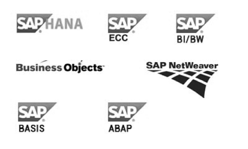 SAP TECHNOLOGIES
